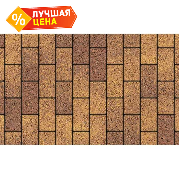 Плитка тротуарная Прямоугольник (Ла-Линия) Б.2.П.6 Листопад гранит Осень 200x100x60 мм